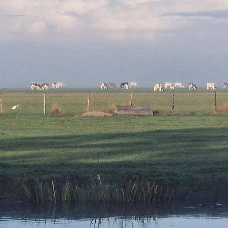 B&B Zusenzomer Oostwoud Kültér fotó