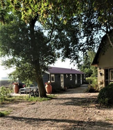 B&B Zusenzomer Oostwoud Kültér fotó