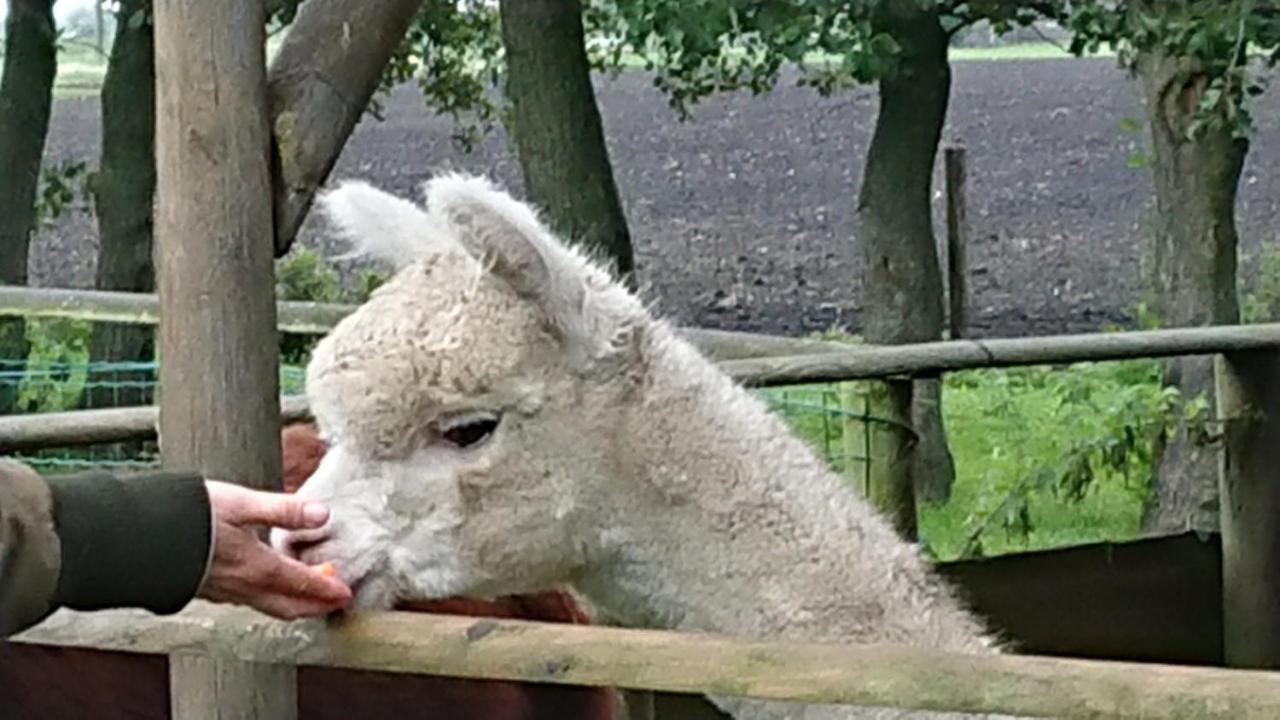 B&B Zusenzomer Oostwoud Kültér fotó