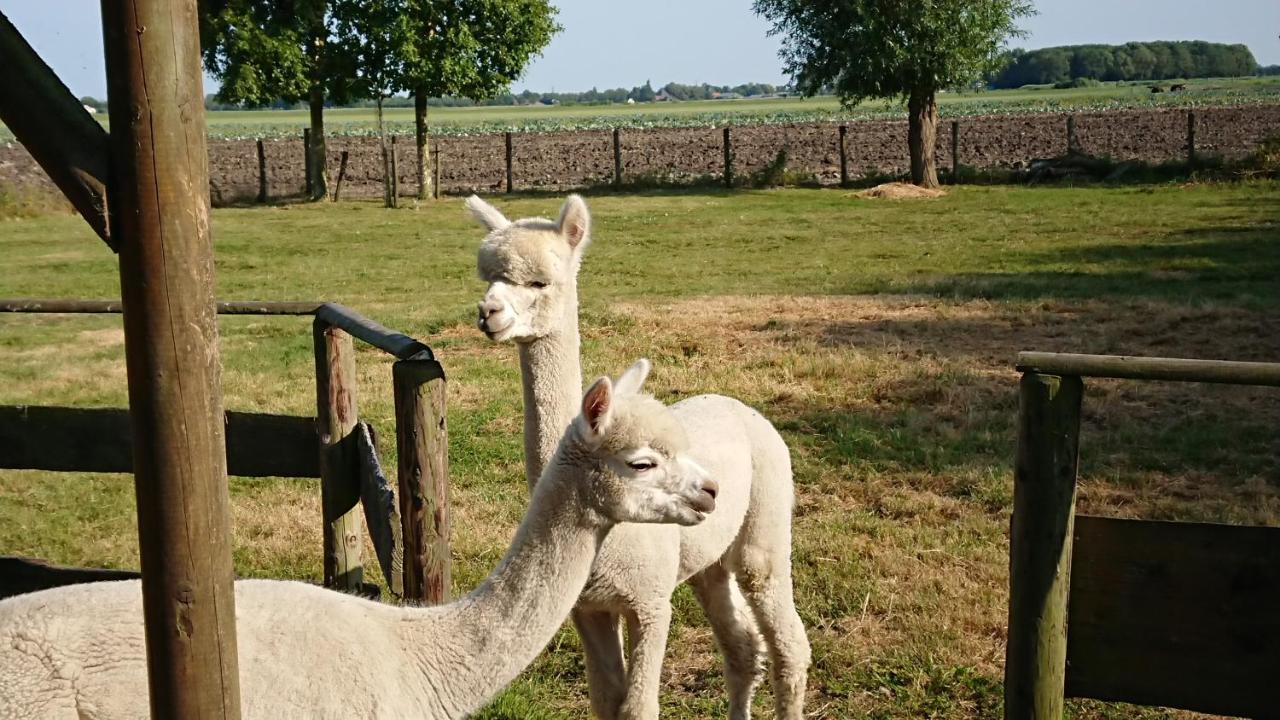 B&B Zusenzomer Oostwoud Kültér fotó