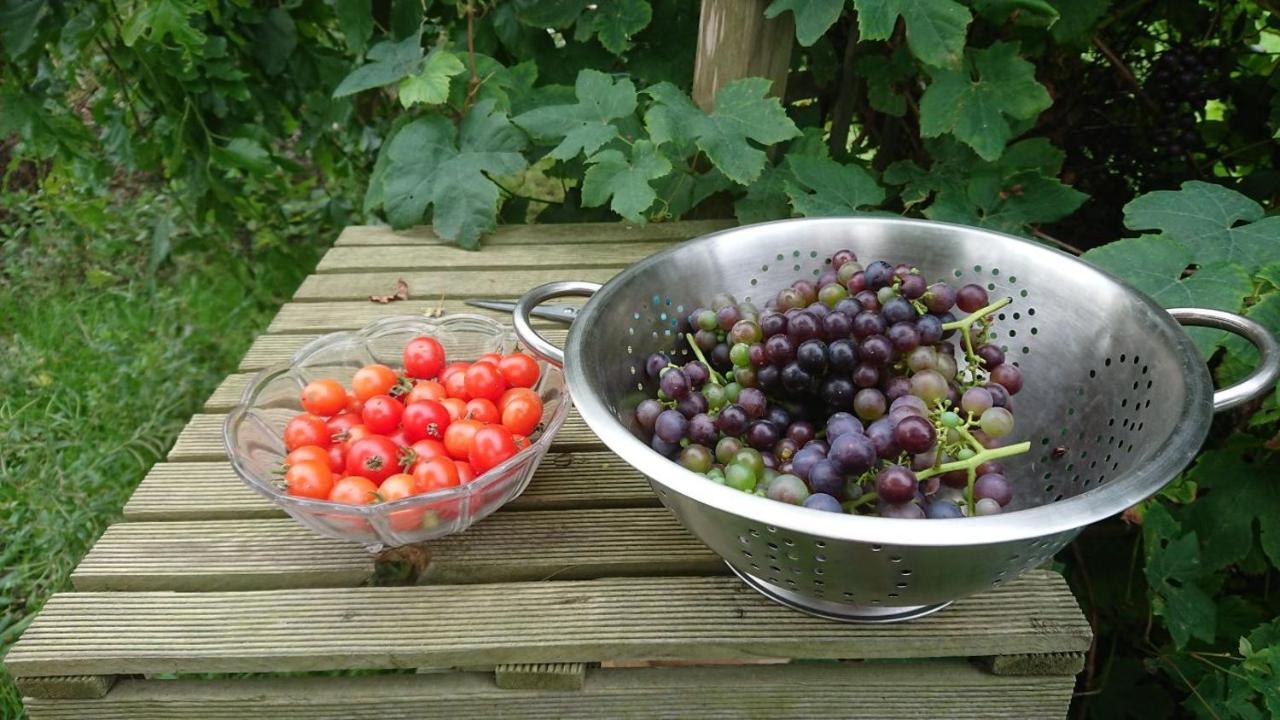B&B Zusenzomer Oostwoud Kültér fotó